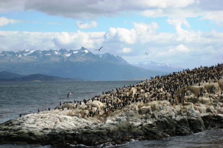 Ushuaia: Navigation through Beagle Channel & Bridges Islands