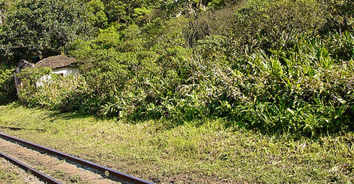 Morretes: Full Day Colonial Town Tour from Curitiba
