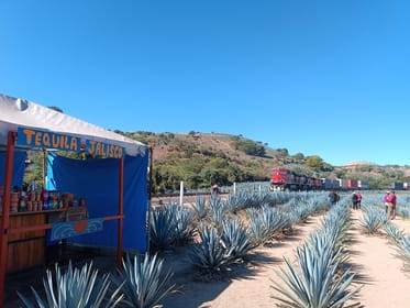 Five-star factory, Meet Orendain tequila. - Housity