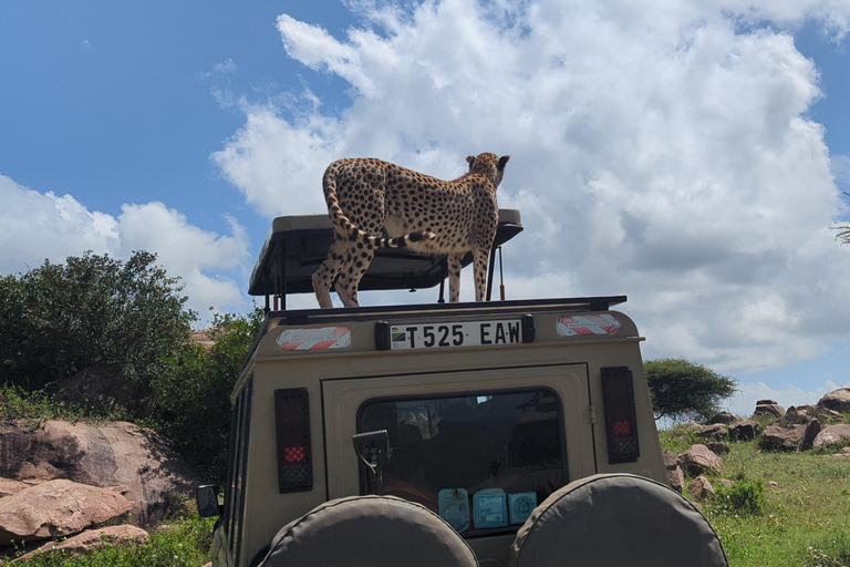 From Moshi: Tarangire National Park Full-Day Safari Tour