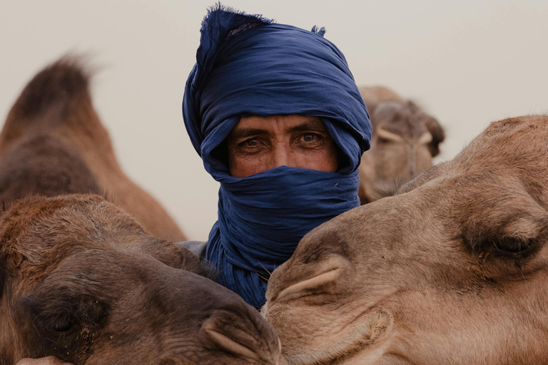 Giro in cammello nel deserto di DakhlaGiro in cammello al tramonto 1 ora