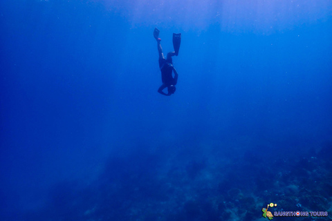 Koh Tao: Excursão de um dia com mergulho com snorkel nas ilhas e almoçoKoh Tao: Ilhas Snorkeling Destaques Day Tour &amp; Almoço
