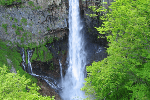 From Tokyo: Nikko World Heritage Private Tour with Guide Nikko World Heritage Full Day share Van tour