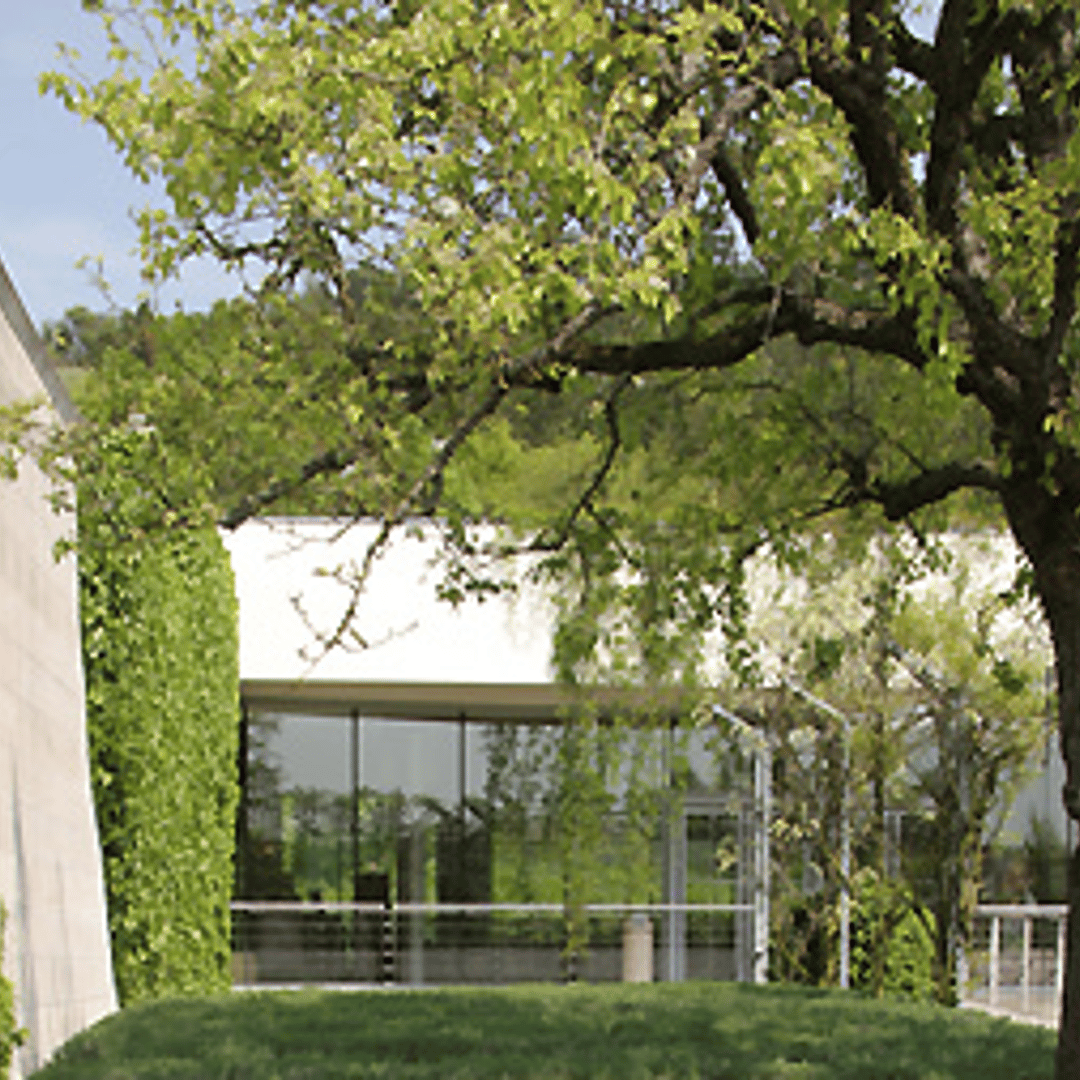 Galerie média