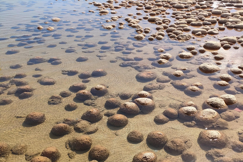 Clifton Thrombolites, Busselton Jetty & Canal Rocks Day Tour