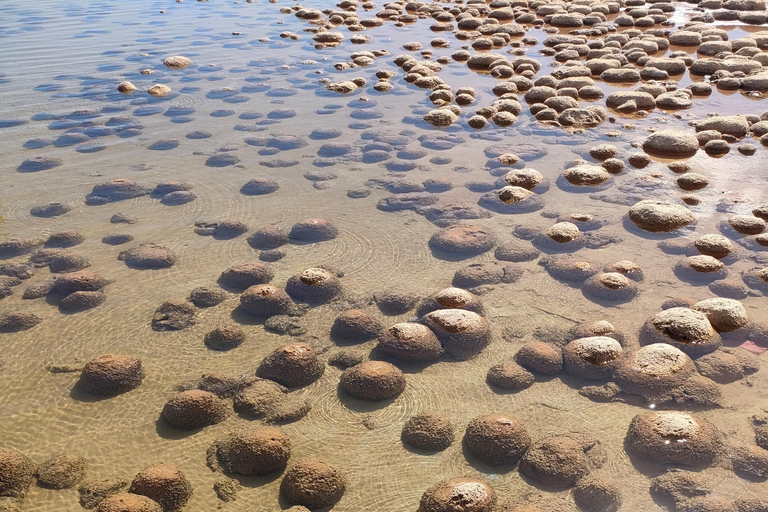 Clifton Thrombolites, Busselton Jetty & Canal Rocks Day Tour