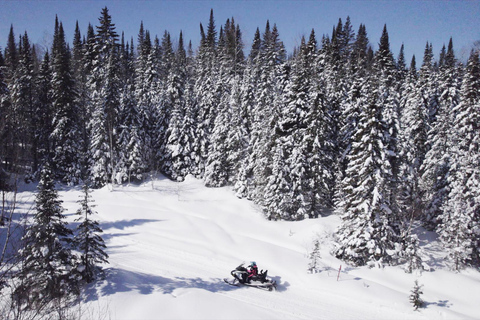 Mont-Tremblant Area: Guided Snowmobile Tour Solo Snowmobile Adventure 1.5 to 2 h (one-seater snowmobile)