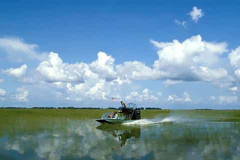 everglades airboat and alligator show with am or pm pickup