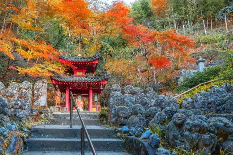 From Osaka/Kyoto: Kyoto Nara Day Trip Highlights