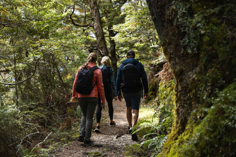 Wānaka: Heli Siberia - Helicopter Flight, Hike & Jet Boat