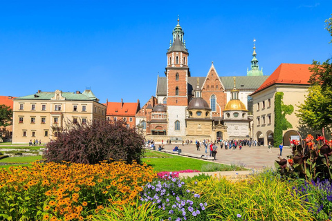 Krakow: Wawel Castle and Cathedral Guided Tour Polish Tour