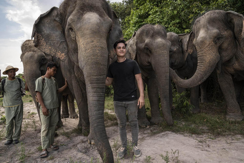 Excursão de um dia aos templos de Angkor Wat e à floresta de elefantes de Kulen