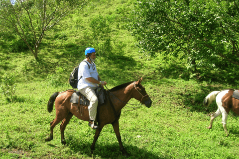 Paseo a caballo de medio día por la selva tropical hasta el volcán Arenal