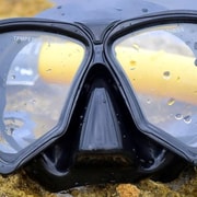 Desde Cancún: Snorkel Cozumel El Paraíso