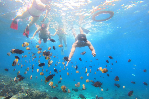 De Lembongan: Snorkeling em 3 pontos, manguezal e excursão terrestreMergulho com snorkel em 3 pontos sem almoço