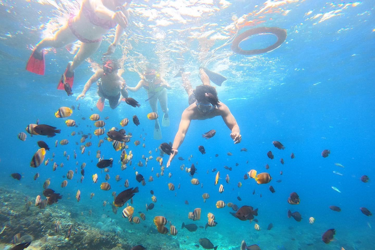 Depuis Lembongan : Plongée avec masque et tuba dans 3 endroits, mangrove et excursion à terrePlongée en apnée sur 3 sites sans déjeuner