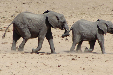 Masai Mara: 7-daagse safaritocht met gamedrives en rondvaarten