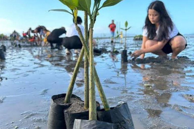 Zanzibar: Spice Farm, Butterfly Sanctuary, and Mangrove Tour