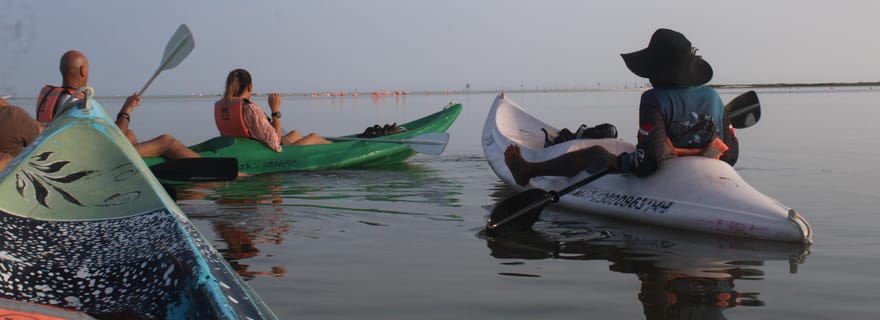 Holbox : Visite guidée en kayak au lever/coucher du soleil dans la réserve de mangroves