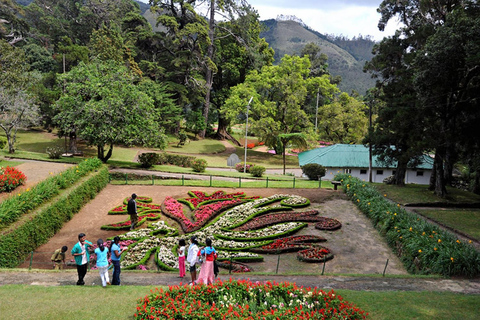 Ella To Nuwara Eliya Transfer with Temples, Gardens & Lake