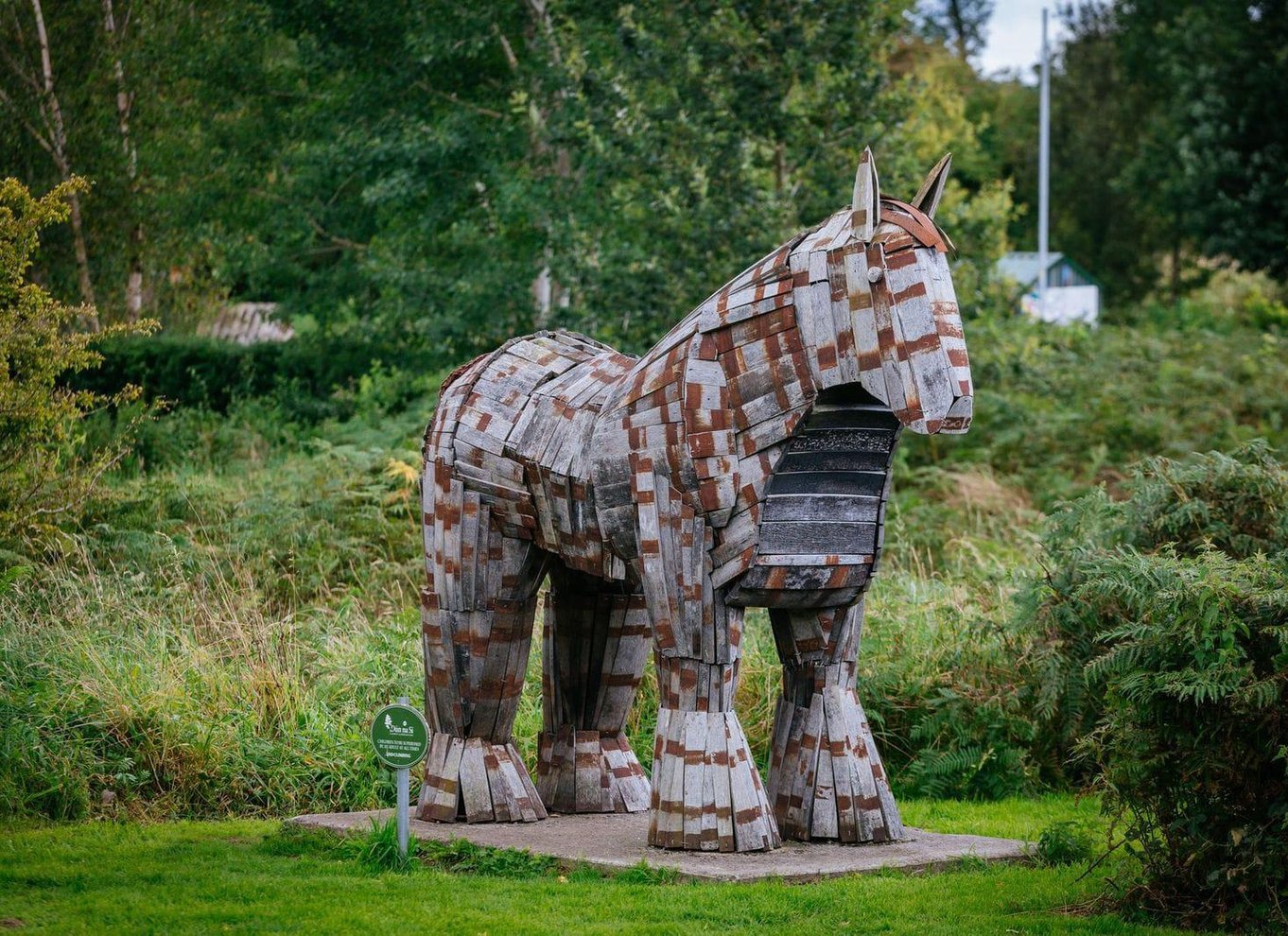 Moate: Adgangsbillet til Dún na Sí Amenity & Heritage Park