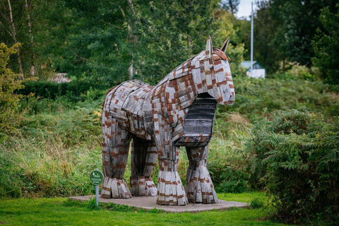 Moate: Dún na Sí Amenity & Heritage Park Admission Ticket