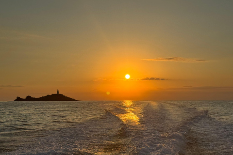 Alcudia: Obserwowanie delfinów o wschodzie słońca z łodzi motorowej