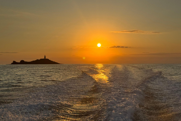 Alcudia: Obserwowanie delfinów o wschodzie słońca z łodzi motorowej