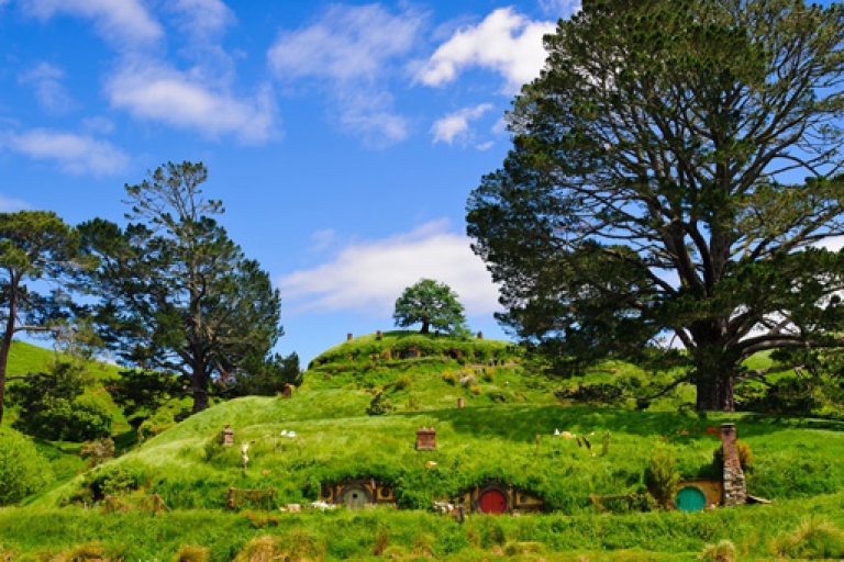 Vanuit Auckland: Waitomo & Hobbiton-bustour met lunchRetour: Waitomo Caves & Hobbiton-tour vanuit Auckland