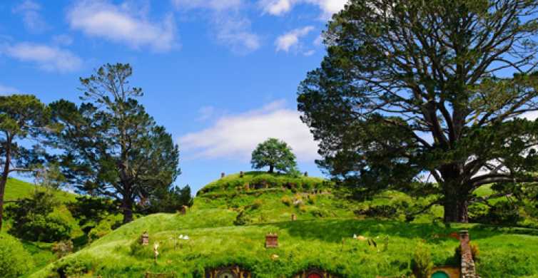 Auckland Hobbiton & Waitomo Bus Tour with Festive Lunch GetYourGuide