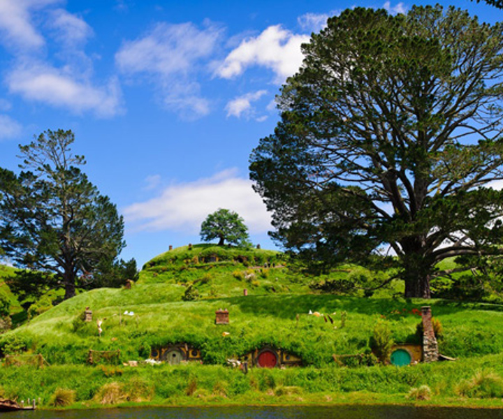 From Auckland: Hobbiton and Waitomo Bus Tour with Lunch