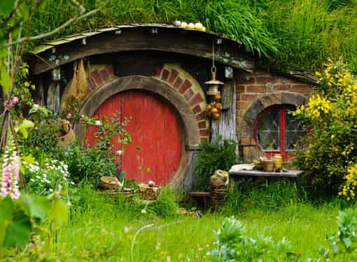 From Auckland: Hobbiton and Waitomo Bus Tour with Lunch | GetYourGuide