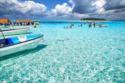 Zanzibar:Mnemba Dolphin Spotting+Aquarium+ Kendwa Beach Escp