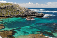 Rottnest Island Day Trip by Ferry & Adventure Boat Tour - Housity
