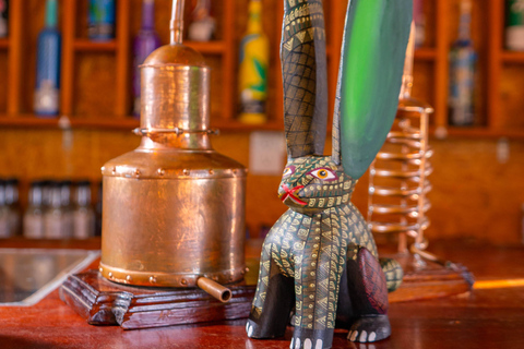 Oaxaca: Sustainable Mezcal Tour at an Award-Winning Family Distillery