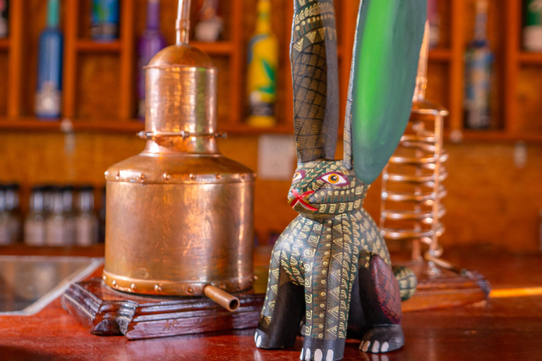 Oaxaca: Sustainable Mezcal Tour at an Award-Winning Family Distillery