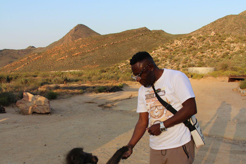 Cape Town Aquilla big sunset safari With transport & food aquila sunset bestseller