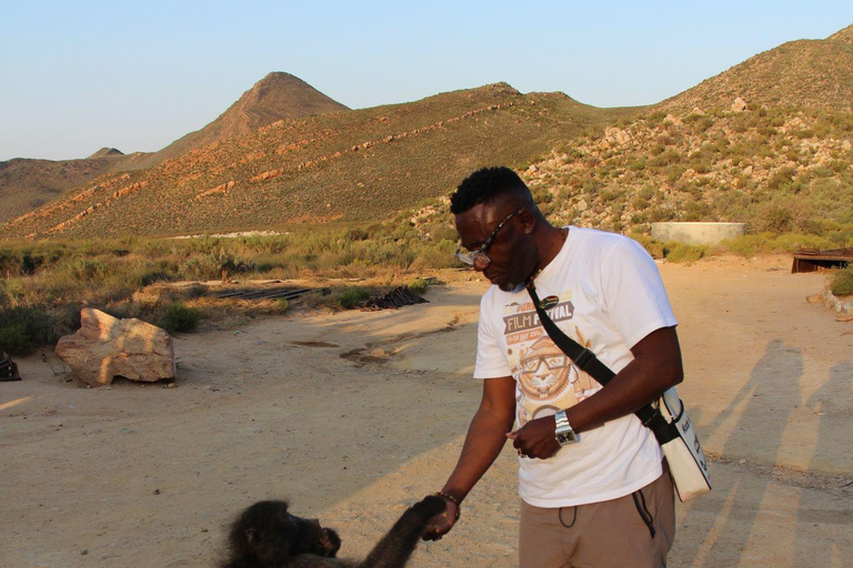 Cape Town Aquilla big sunset safari With transport & food aquila sunset bestseller