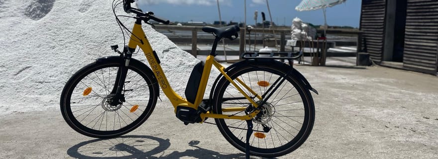 Aveiro : visite en vélo électrique avec un guide de la région