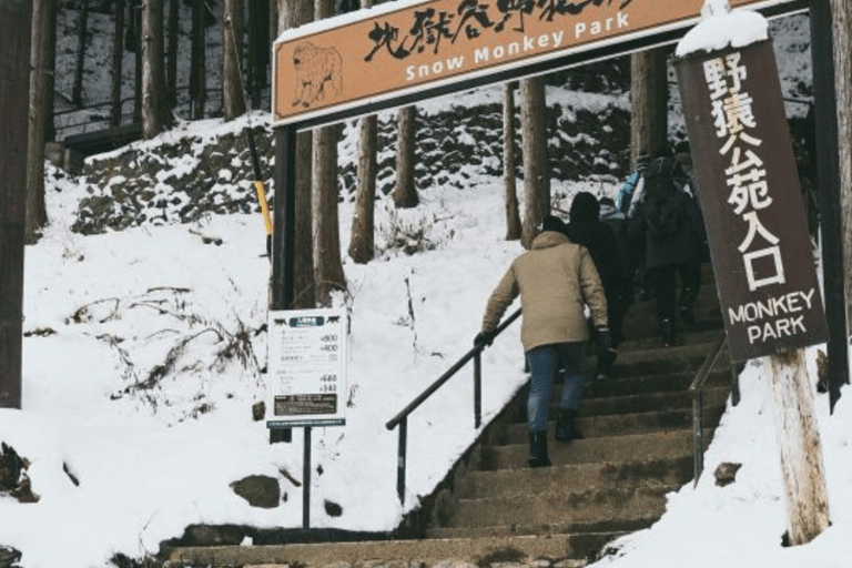 Z Tokio: Park Śnieżnych Małp i prywatna wycieczka do świątyni Zenko-ji