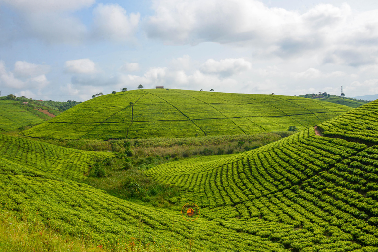 Safari in Uganda di 10 giorni tra natura e primati.