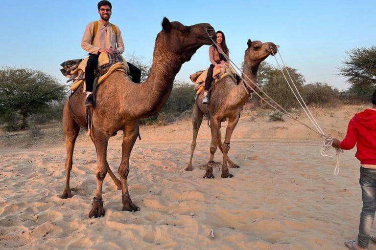 From Jodhpur Camel Safari & Overnight Stay In Desert From Jodhpur Camel Safari & Overnight Stay In Desert