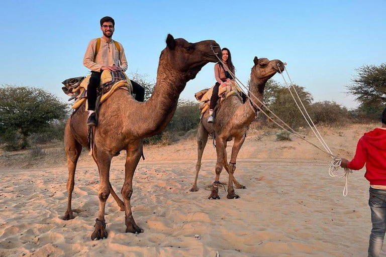 Von Jodhpur Kamelsafari und Übernachtung in der Wüste