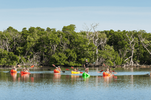 Key West morgonsegling, snorkling och kajakutflykt