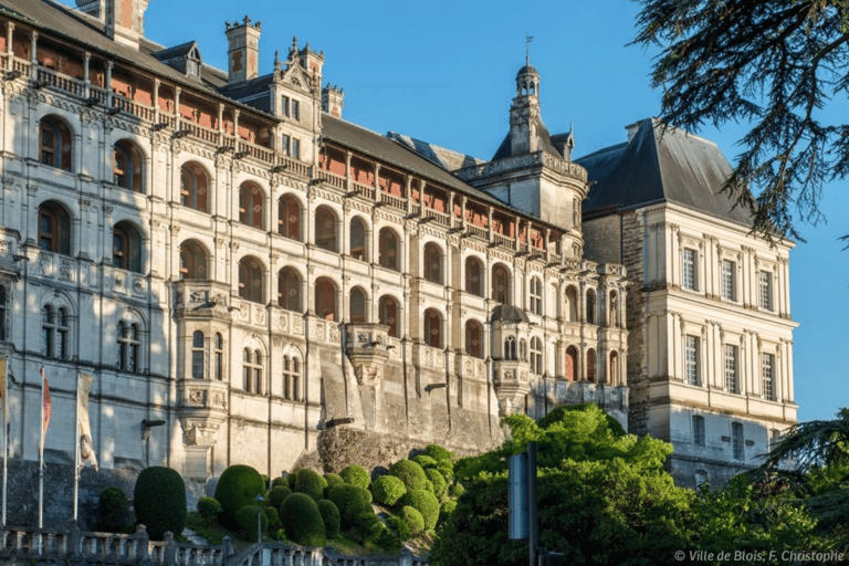 Traditional Cruise on the Loire & Royal Day in Blois
