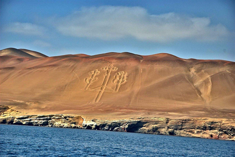 Paracas: Ballestas Islands + Paracas Reserve - FullDay Combo