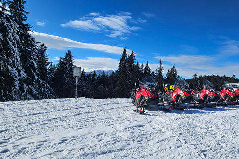 ATV or Snowmobile Mountain Tour from Bucharest