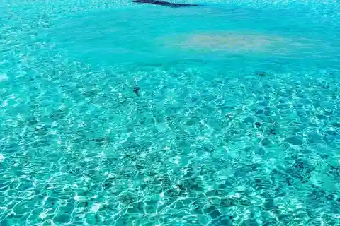 Sharm el-Sheikh: White Island & Ras Mohamed Park Boat Trip