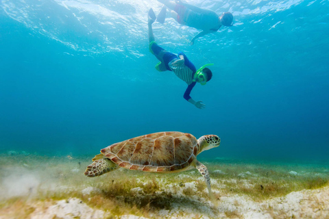 Salalah: Ontdek het snorkelparadijs van Mirbat met een rondleiding