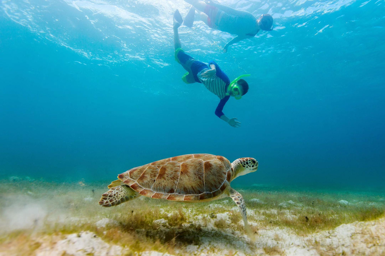 Salalah: Ontdek het snorkelparadijs van Mirbat met een rondleiding